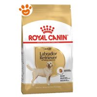 Royal Canin Dog Adult Labrador Retriever