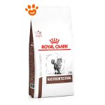 Royal Canin Cat Veterinary Diet Gastrointestinal - Sacco Da 4 Kg