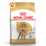 Royal Canin Dog Adult Poodle (Barboncino) - Sacco Da 1,5 Kg