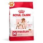 Royal Canin SHN Dog Medium Adult - Sacco Da 4 Kg