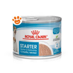 Royal Canin Dog Starter Mousse Mother & Babydog - Lattina Da 195 Gr