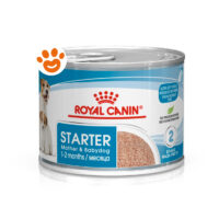 Royal Canin Dog Starter Mousse Mother & Babydog