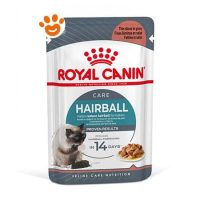 Royal Canin Cat Hairball Care in Salsa Gravy