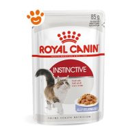 Royal Canin Cat Instinctive in Gelatina
