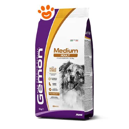 Monge Gemon Dog Medium Adult Pollo e Riso