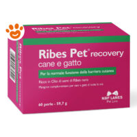 Confezione Ribes Pet recovery cane e gatto