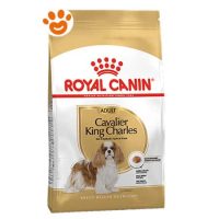 Royal Canin Dog Adult Cavalier King Charles