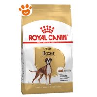 Royal Canin Dog Adult Boxer