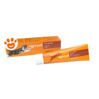 Candioli Cat Vigorpet Pasta