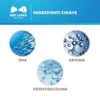 Ingredienti chiave DHA, uridina e fosfatidilcolina