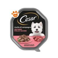 Cesar Dog Ricette di Campagna con Vitello e Tacchino in Salsa