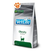 Farmina Cat Vet Life Obesity