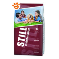 Still Dog Maintenance con Manzo
