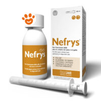 Innovet Dog&Cat Nefrys