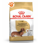 Royal Canin Dog Adult Dachshund (Bassotto) - Sacco Da 1,5 Kg