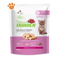 Natural Trainer Cat Kitten Pollo