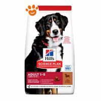 Hill's Dog Science Plan Adult Large Breed Agnello e Riso