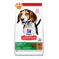 Hill's Dog Science Plan Puppy Medium Agnello e Riso