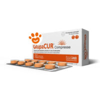 Innovet Dog&Cat Glupacur Compresse