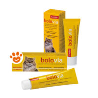 Candioli Cat Bolo Via Pasta