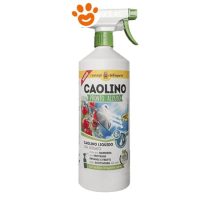 I Consigli dell'Esperto Caolino Pronto Uso