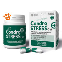Innovet Cat Condrostress (+)