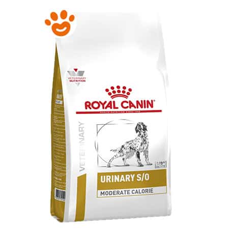 Royal Canin Dog Veterinary Diet Urinary S/O Moderate Calorie - Sacco Da 12 Kg