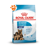 Royal Canin Dog Maxi Starter Mother & Babydog