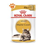 Royal Canin Cat Adult Maine Coon