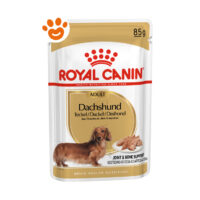 Royal Canin Dog Adult Dachshund (Bassotto)
