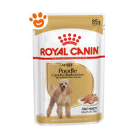 Royal Canin Dog Adult Poodle (Barboncino)