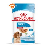 Royal Canin Dog Medium Puppy