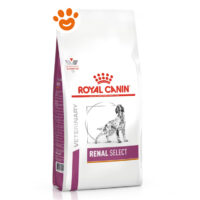 Royal Canin VHN Dog Veterinary Diet Renal Select