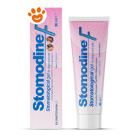 ICF Dog & Cat Stomodine F Gel