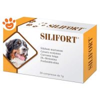 Aurora Biofarma Dog & Cat Silifort