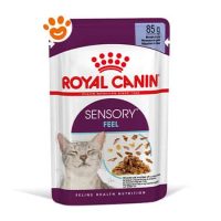 Royal Canin Cat Sensory Feel in Gelatina