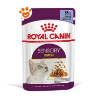 Royal Canin Cat Sensory Smell in Gelatina
