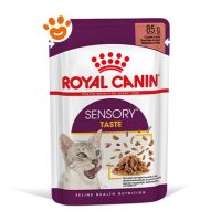 Royal Canin Cat Sensory Taste in Gelatina