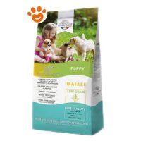 Marpet Dog Aequilibriavet Puppy All Breed Maiale