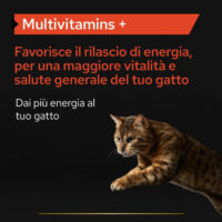 Gatto che salta con promozione multivitaminici