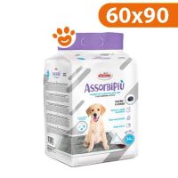 Record Assorbipiù con Carbone
  Attivo (60x90) Tappetini Igienici Assorbenti