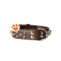 Camon Dog & Cat Collare In Pelle con Borchie
