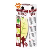 Cifo Ferro