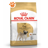 Royal Canin Dog BHN Adult Pug (Carlino)