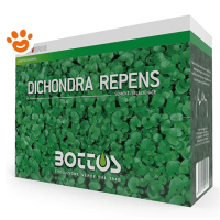 Bottos Dichondra Repens Semi Per Giardino