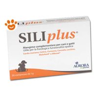 Aurora Biofarma Dog & Cat Siliplus