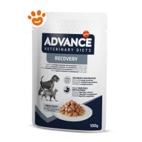 Advance Dog Veterinary Diets Recovery