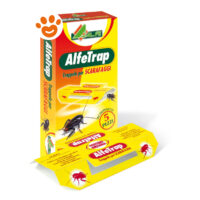AL.FE AlfeTrap Scarafaggi