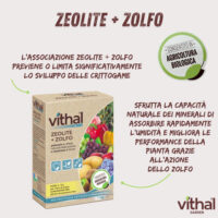 Confezione Zeolite più Zolfo per agricoltura biologica