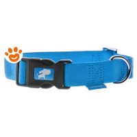 Ferribiella Collare Aggiustabile in Nylon Azzurro (10x20-35cm)